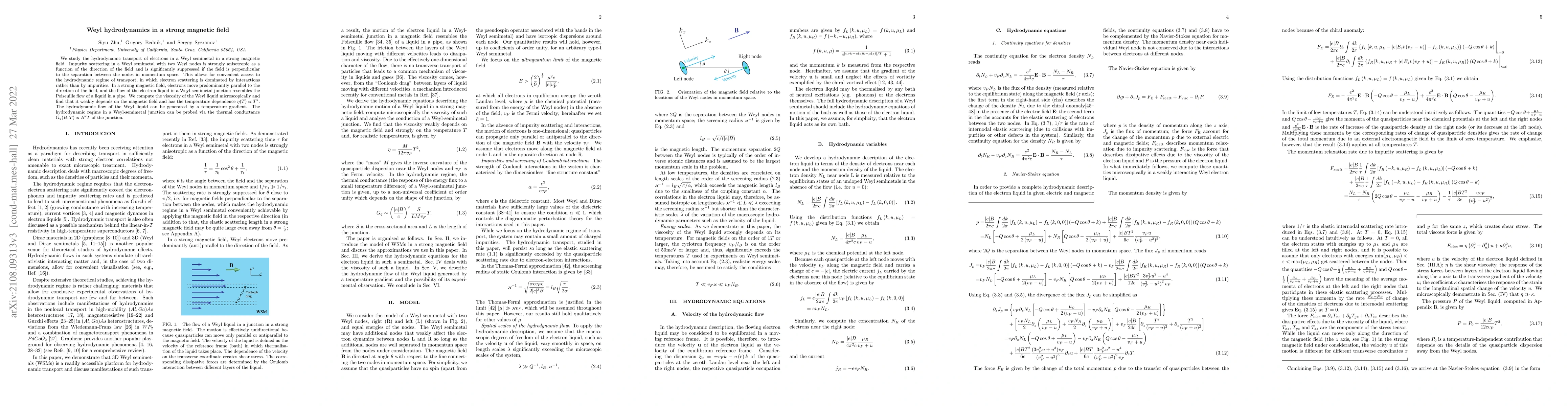 Thumbnail for Weyl hydrodynamics in a strong magnetic field