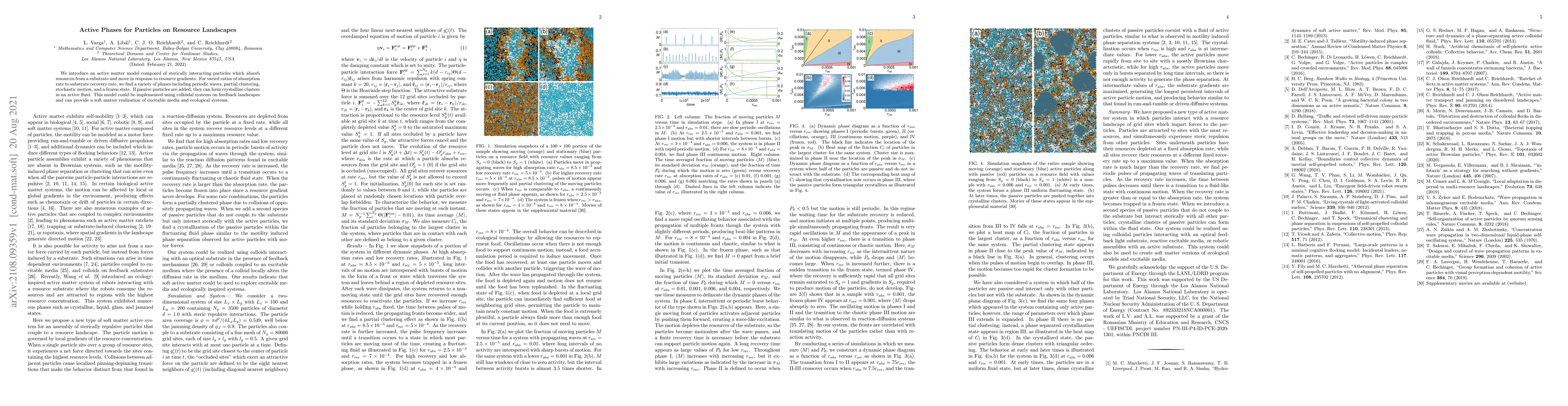 Thumbnail for Active Phases for Particles on Resource Landscapes