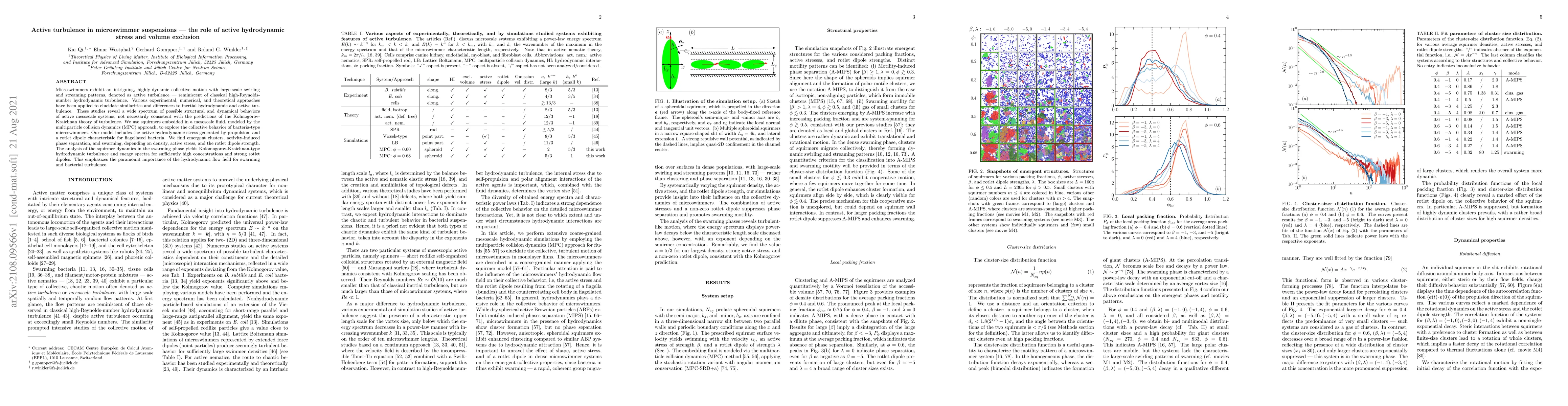 Thumbnail for Active turbulence in microswimmer suspensions -- the role of active
  hydrodynamic stress and volume exclusion