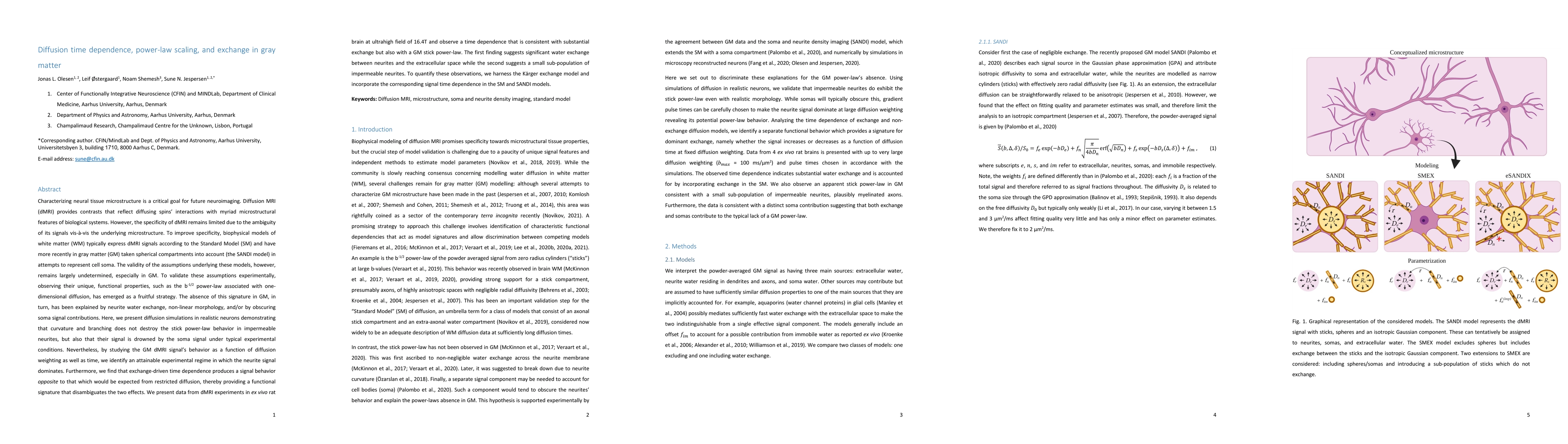Thumbnail for Diffusion time dependence, power-law scaling, and exchange in gray
  matter
