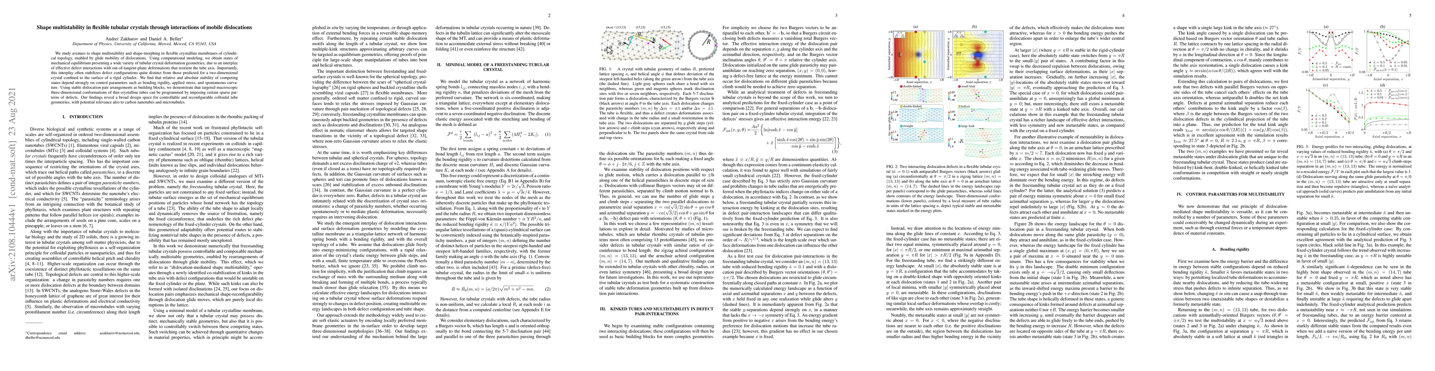 Thumbnail for Shape multistability in flexible tubular crystals through interactions
  of mobile dislocations