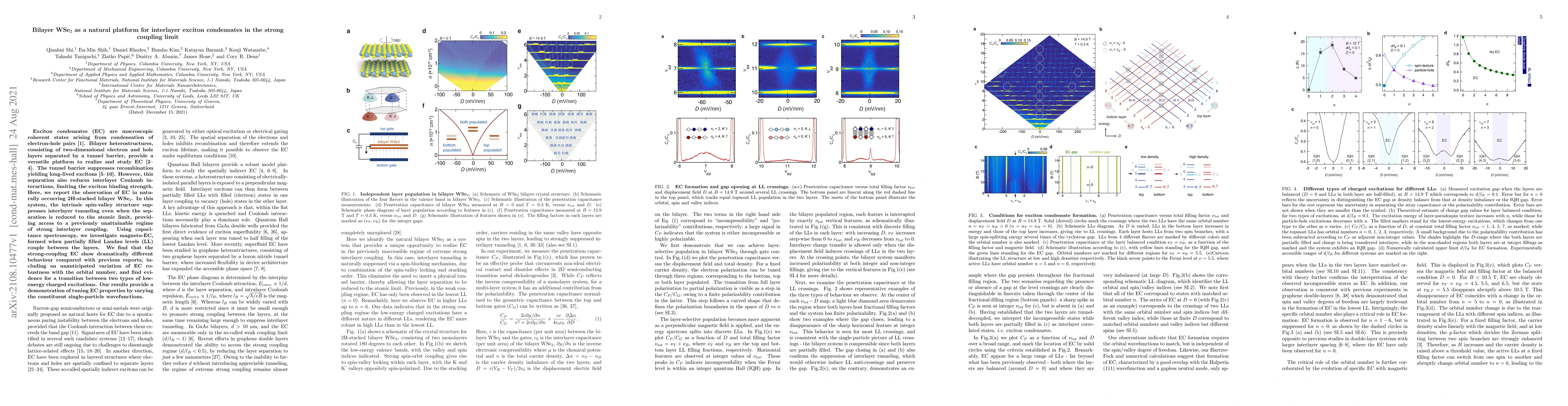 Thumbnail for Bilayer WSe$_2$ as a natural platform for interlayer exciton condensates
  in the strong coupling limit