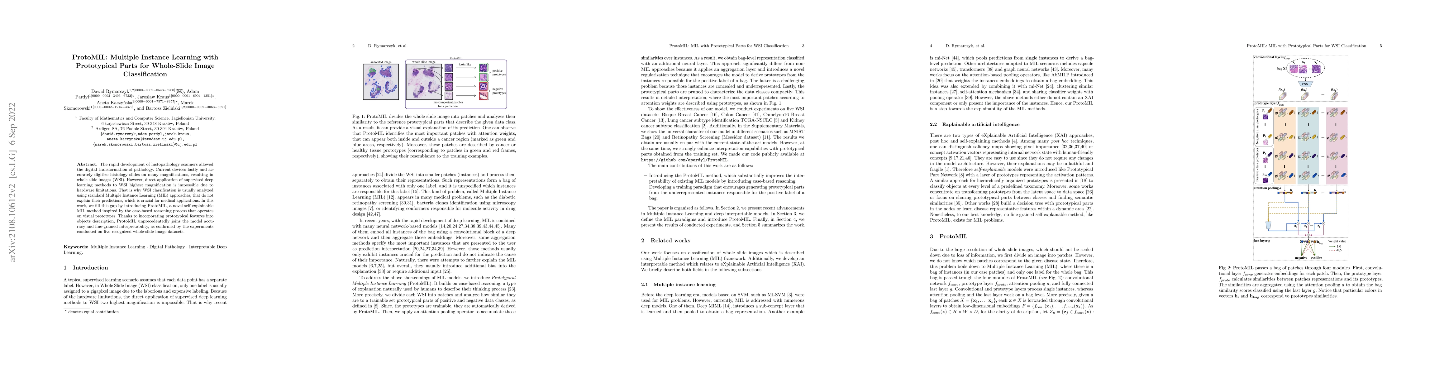 Thumbnail for ProtoMIL: Multiple Instance Learning with Prototypical Parts for
  Whole-Slide Image Classification