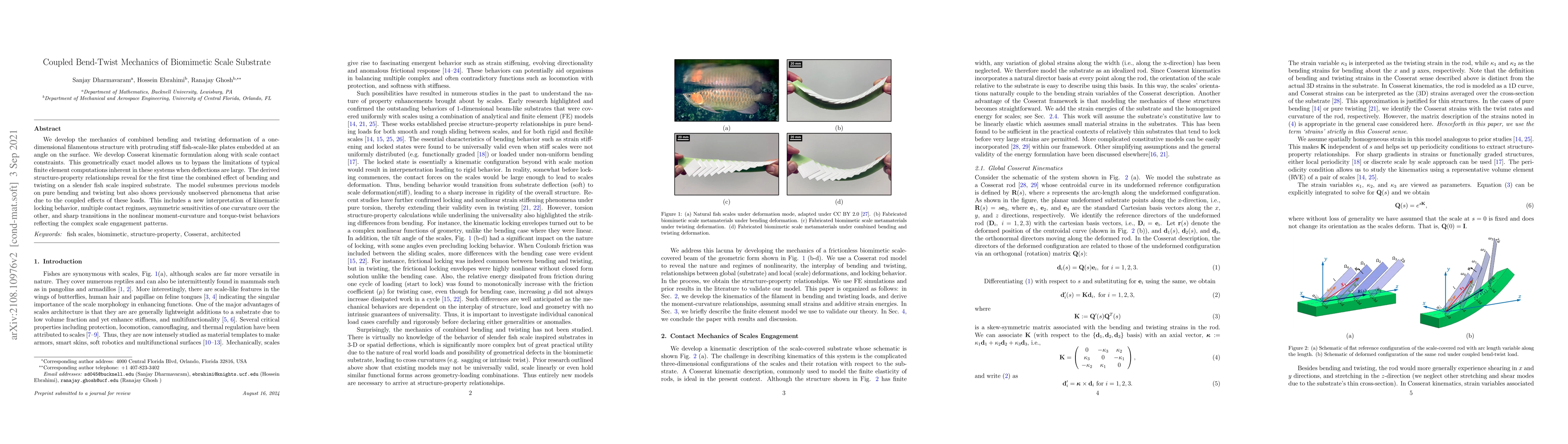 Thumbnail for Coupled Bend-Twist Mechanics of Biomimetic Scale Substrate