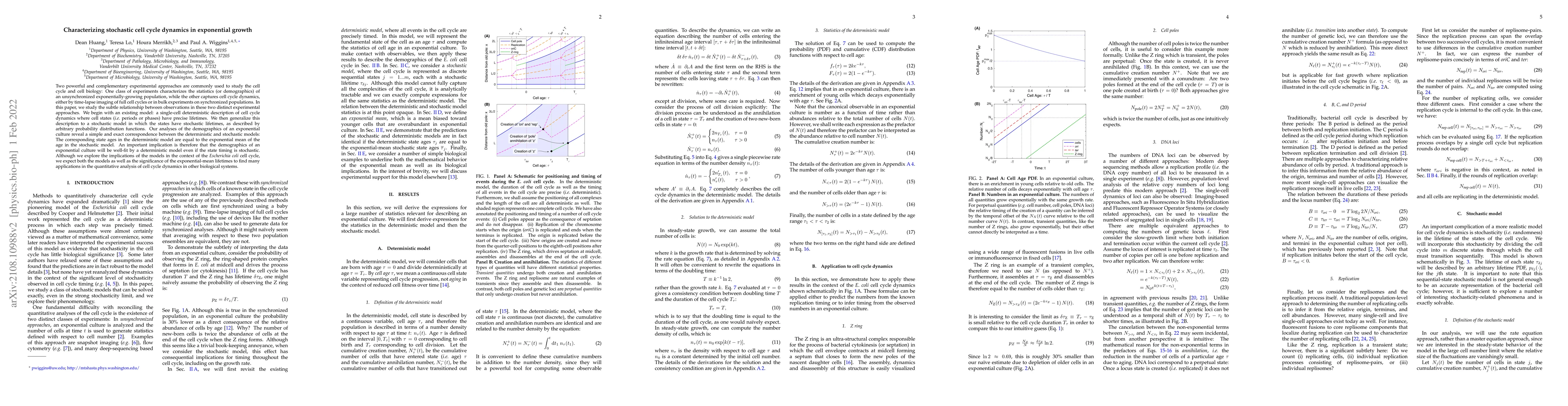 Thumbnail for Characterizing stochastic cell cycle dynamics in exponential growth