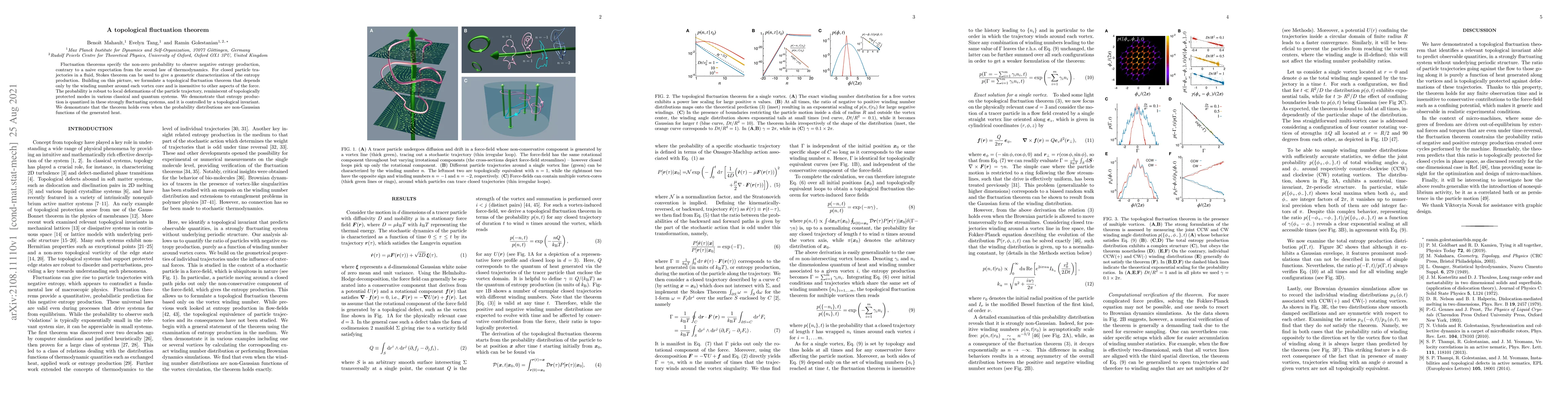Thumbnail for A topological fluctuation theorem
