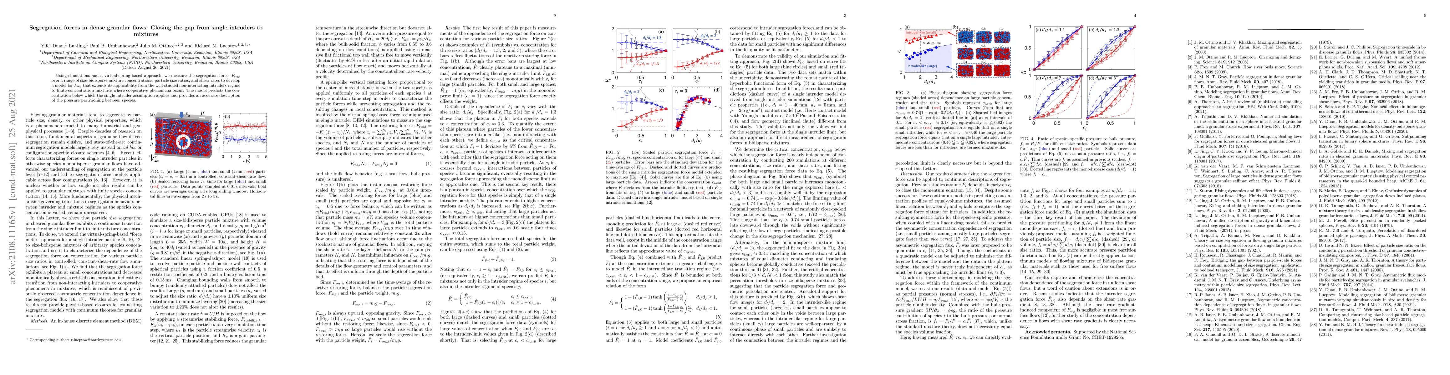Thumbnail for Segregation forces in dense granular flows: Closing the gap from single
  intruders to mixtures