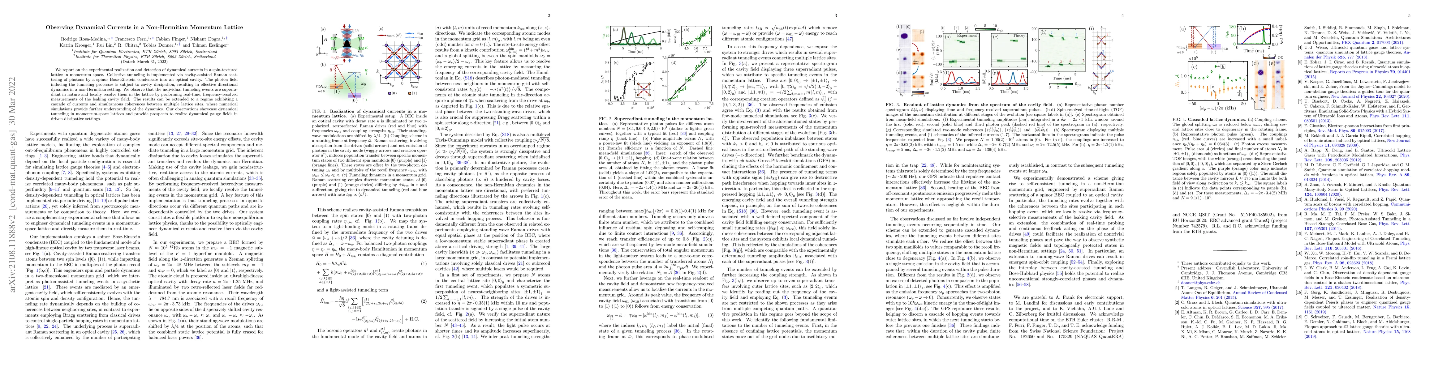 Thumbnail for Observing dynamical currents in a non-Hermitian momentum lattice