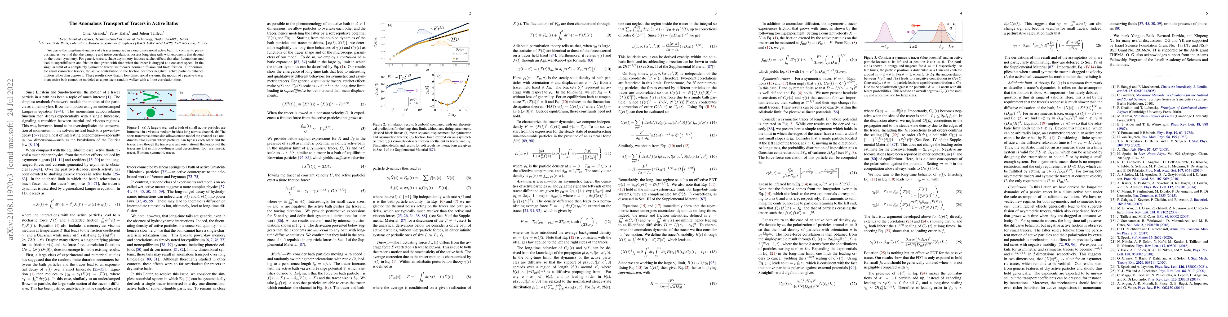 Thumbnail for The Anomalous Transport of Tracers in Active Baths