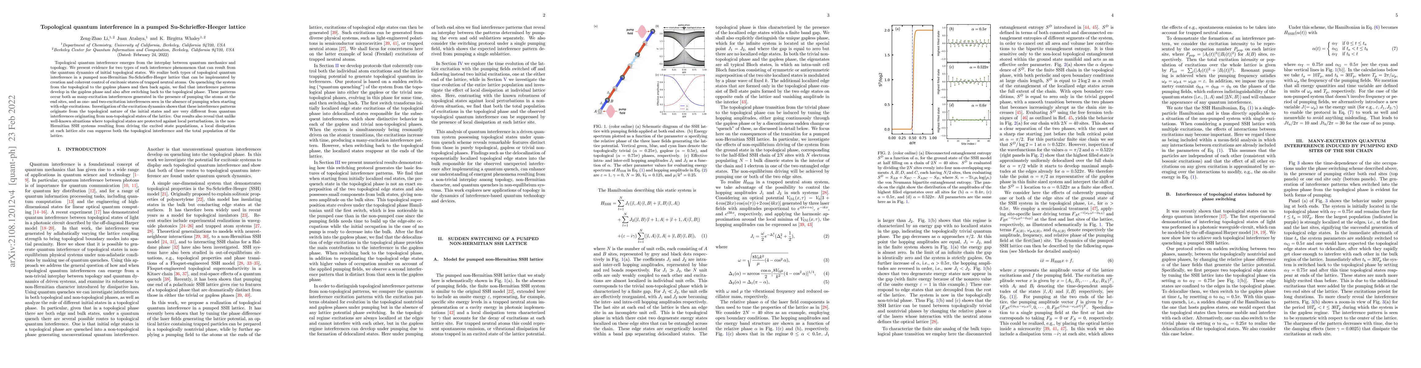 Thumbnail for Topological quantum interference in a pumped Su-Schrieffer-Heeger
  lattice
