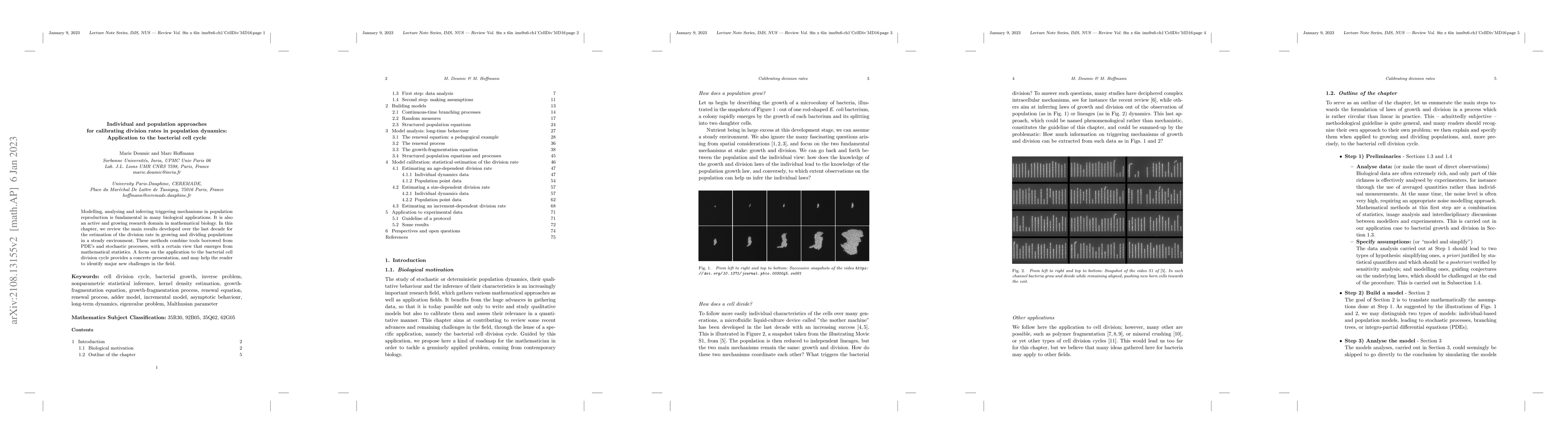 Thumbnail for Individual and population approaches for calibrating division rates in
  population dynamics: Application to the bacterial cell cycle
