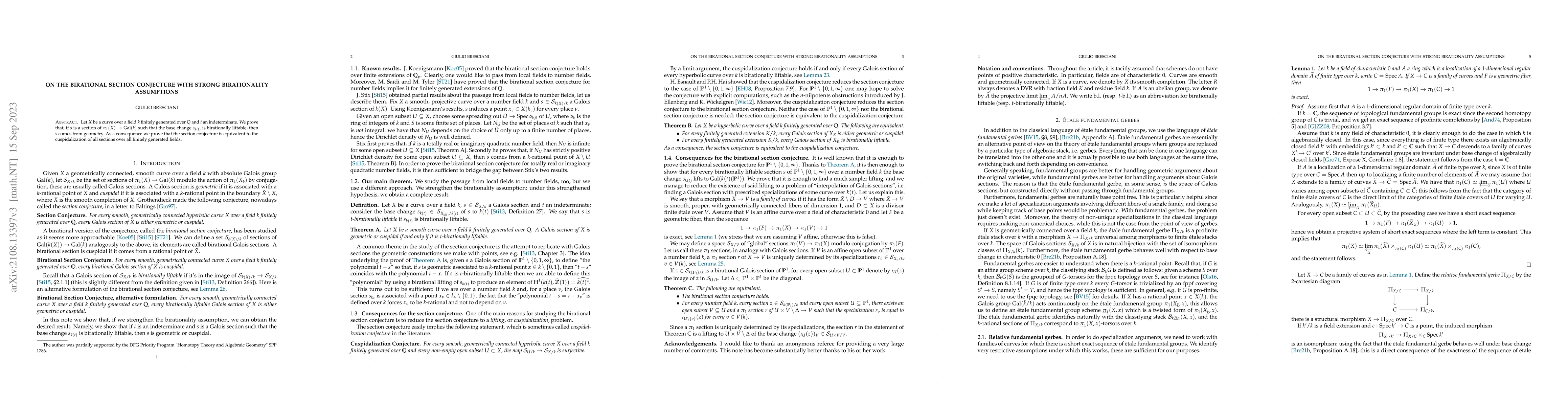 Thumbnail for On the birational section conjecture with strong birationality
  assumptions