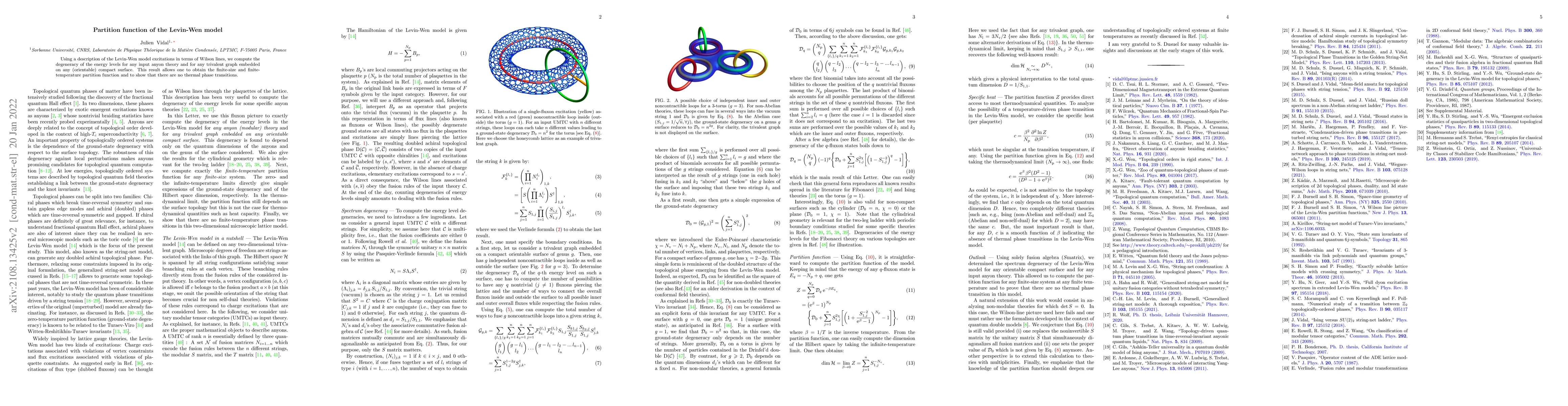 Thumbnail for Partition function of the Levin-Wen model