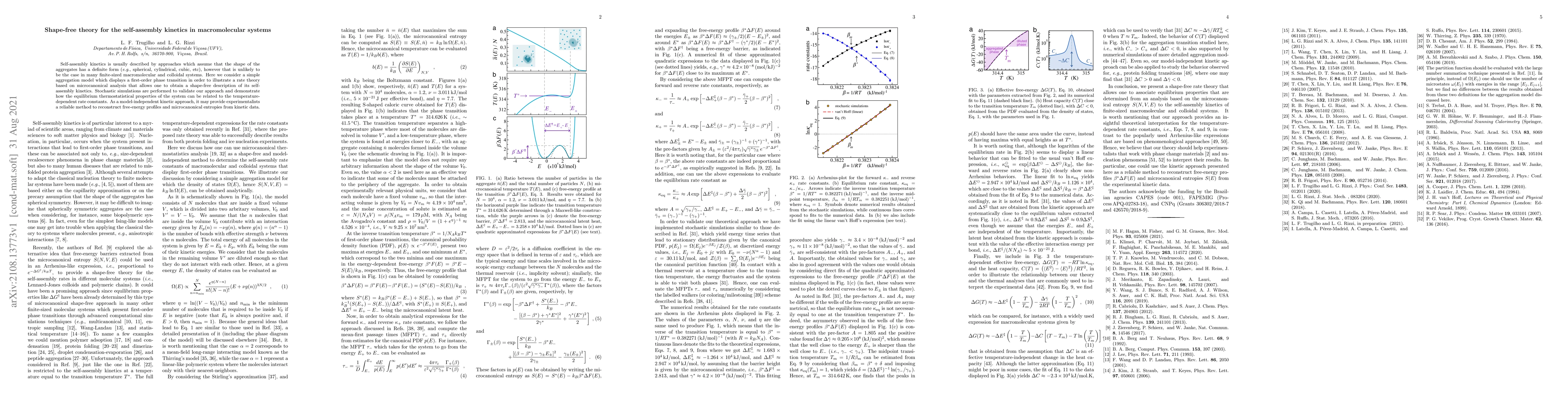 Thumbnail for Shape-free theory for the self-assembly kinetics in macromolecular
  systems