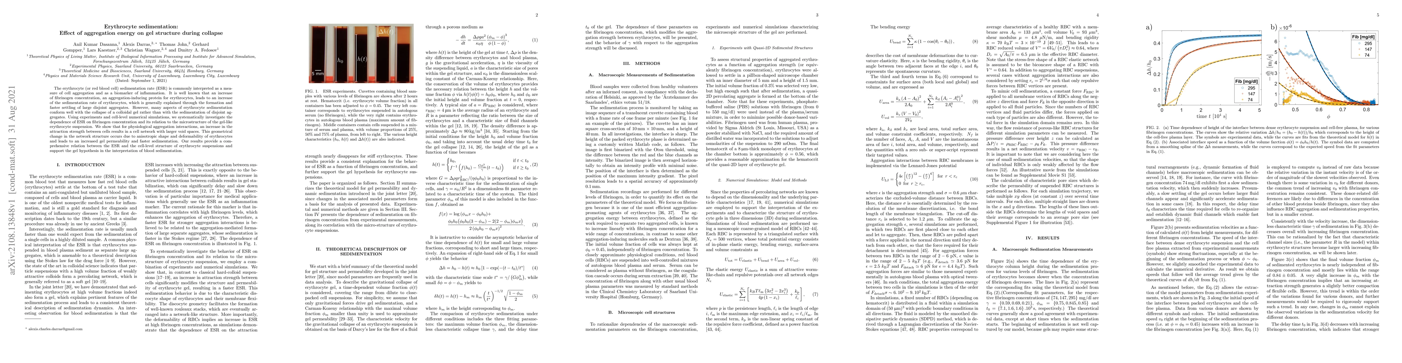 Thumbnail for Erythrocyte sedimentation: Effect of aggregation energy on gel structure
  during collapse