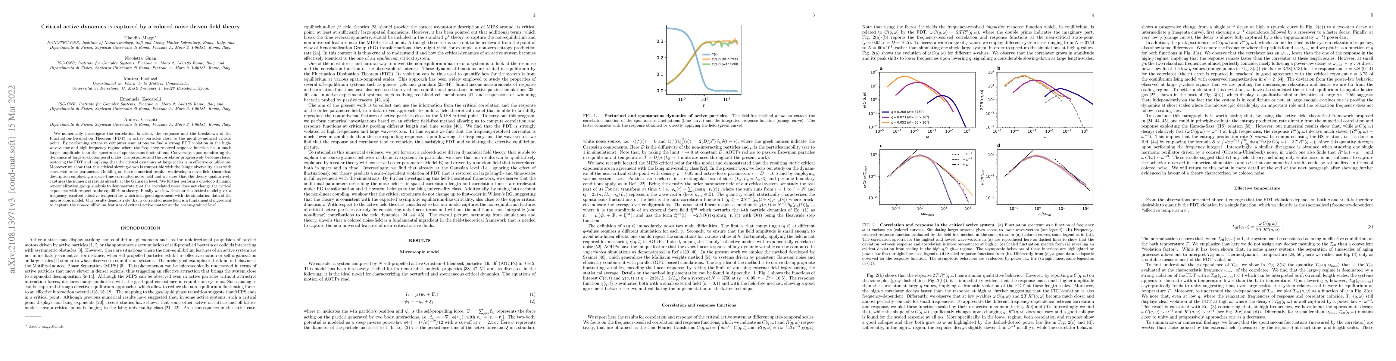 Thumbnail for Critical active dynamics is captured by a colored-noise driven field
  theory