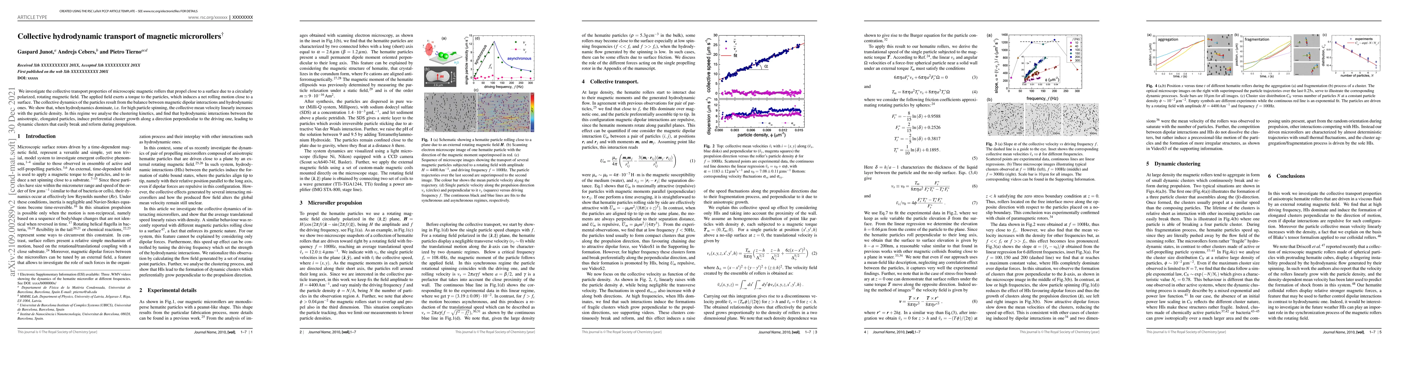 Thumbnail for Collective hydrodynamic transport of magnetic microrollers