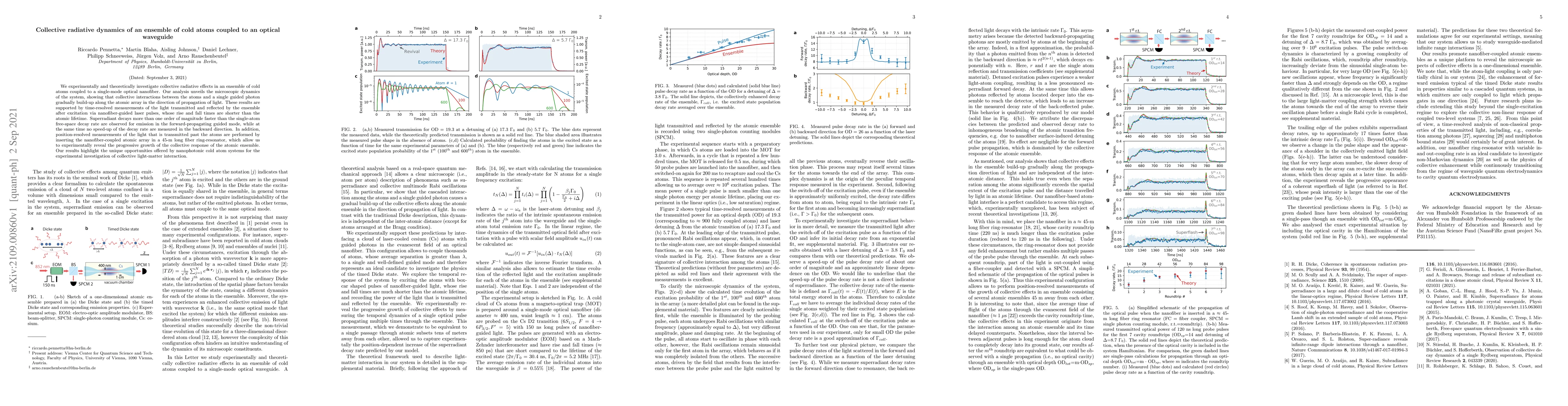 Thumbnail for Collective radiative dynamics of an ensemble of cold atoms coupled to an
  optical waveguide
