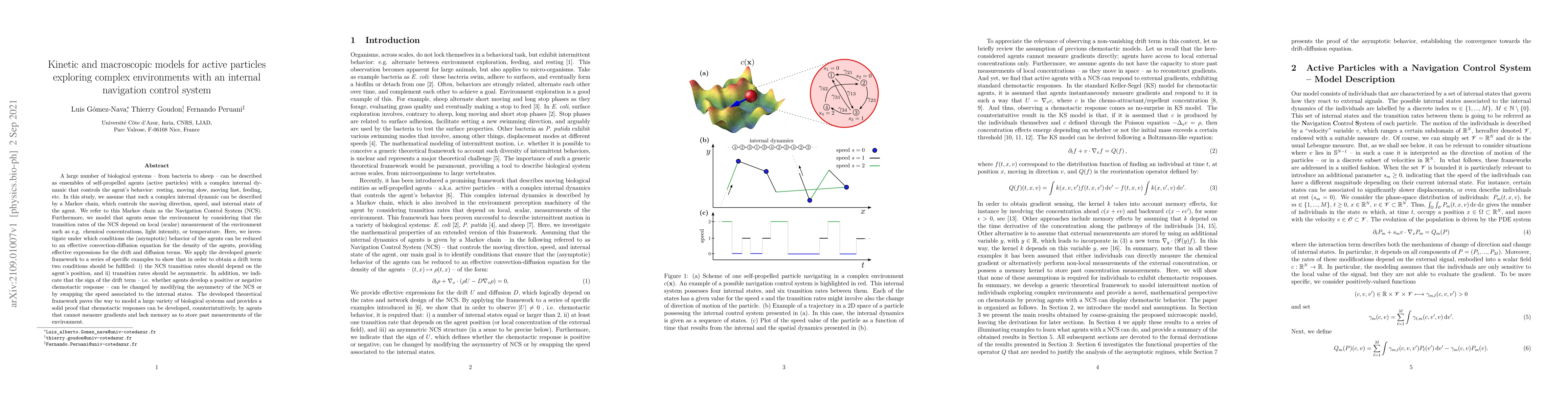 Thumbnail for Kinetic and macroscopic models for active particles exploring complex
  environments with an internal navigation control system