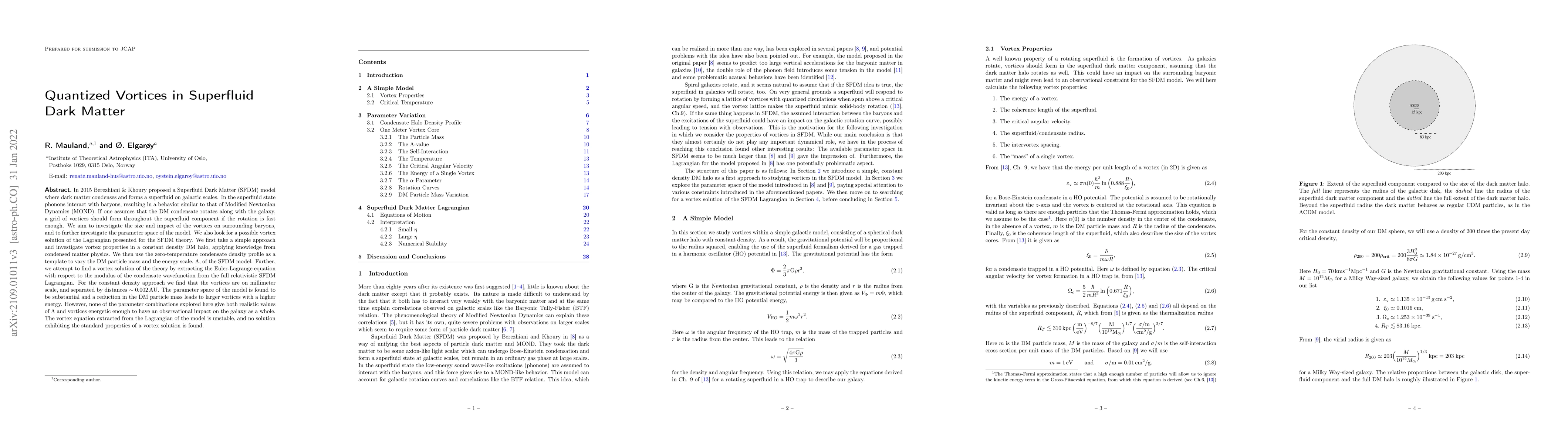 Thumbnail for Quantized Vortices in Superfluid Dark Matter