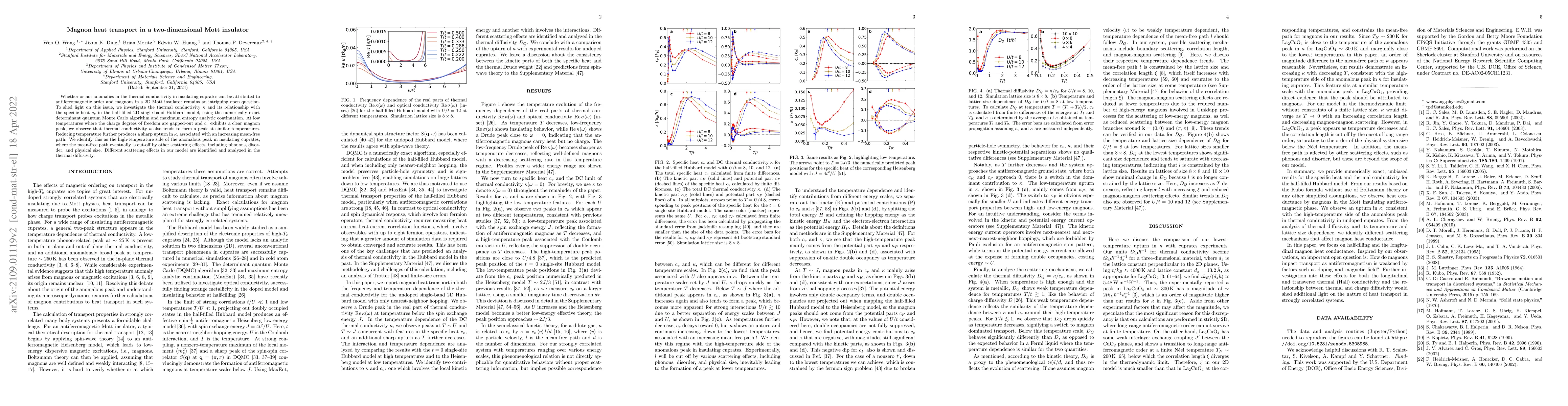 Thumbnail for Magnon heat transport in a two-dimensional Mott insulator