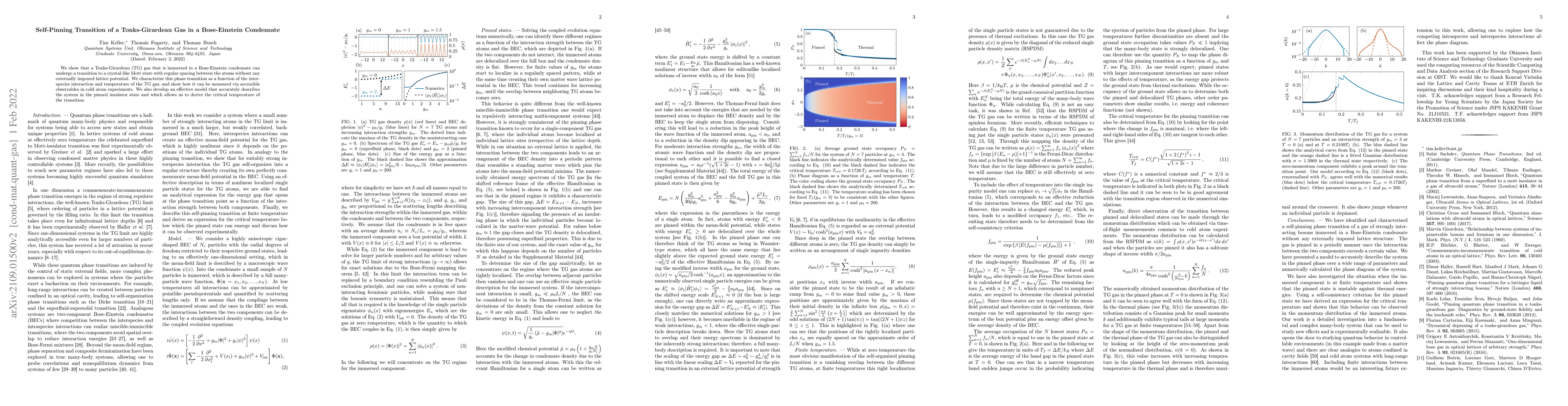 Thumbnail for Self-Pinning Transition of a Tonks-Girardeau Gas in a Bose-Einstein
  Condensate