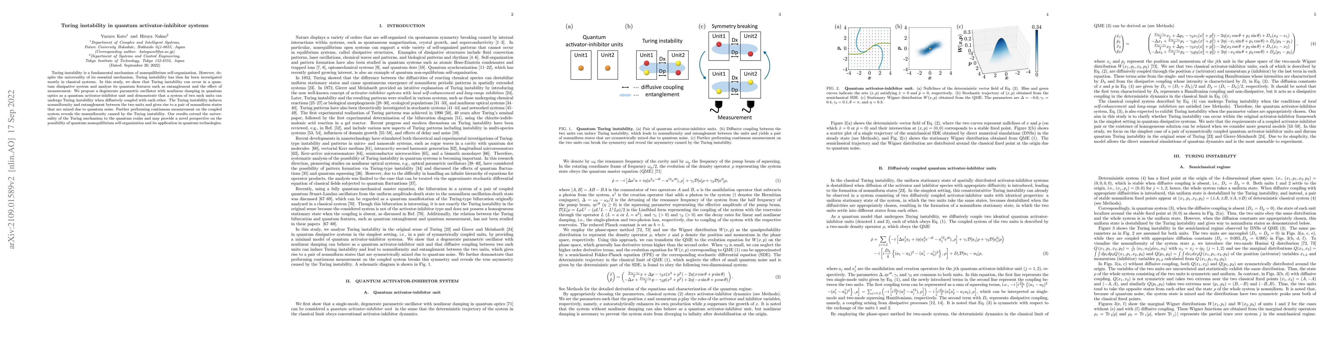 Thumbnail for Turing instability in quantum activator-inhibitor systems