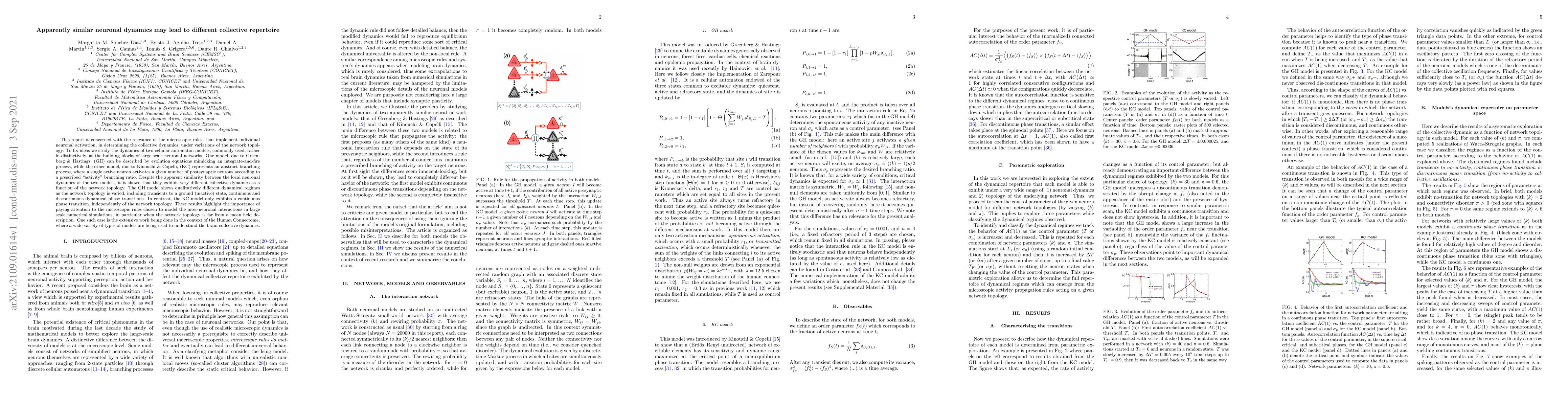 Thumbnail for Apparently similar neuronal dynamics may lead to different collective
  repertoire