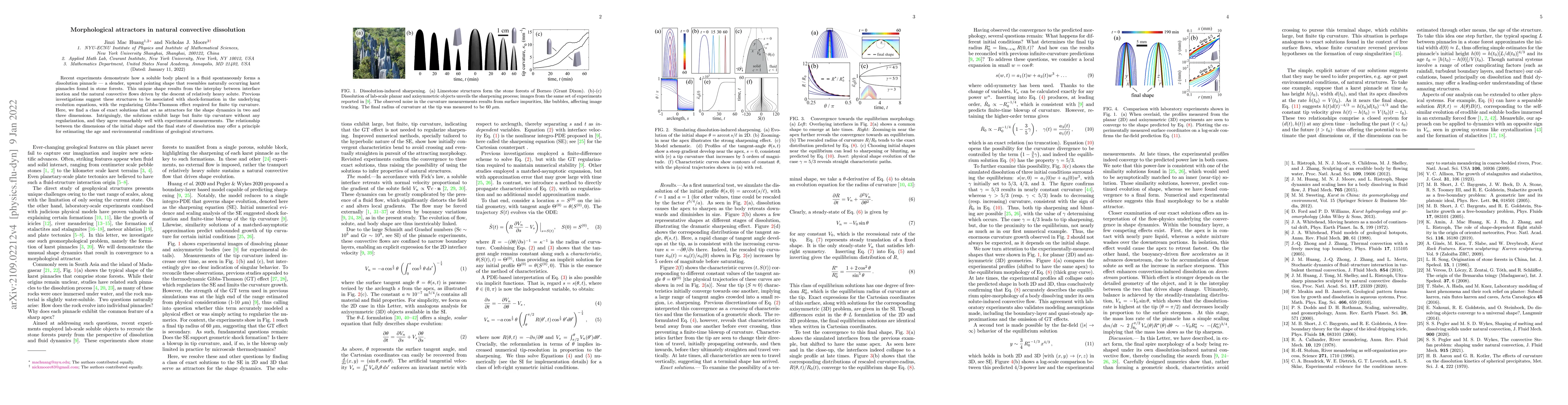 Thumbnail for Morphological attractors in natural convective dissolution