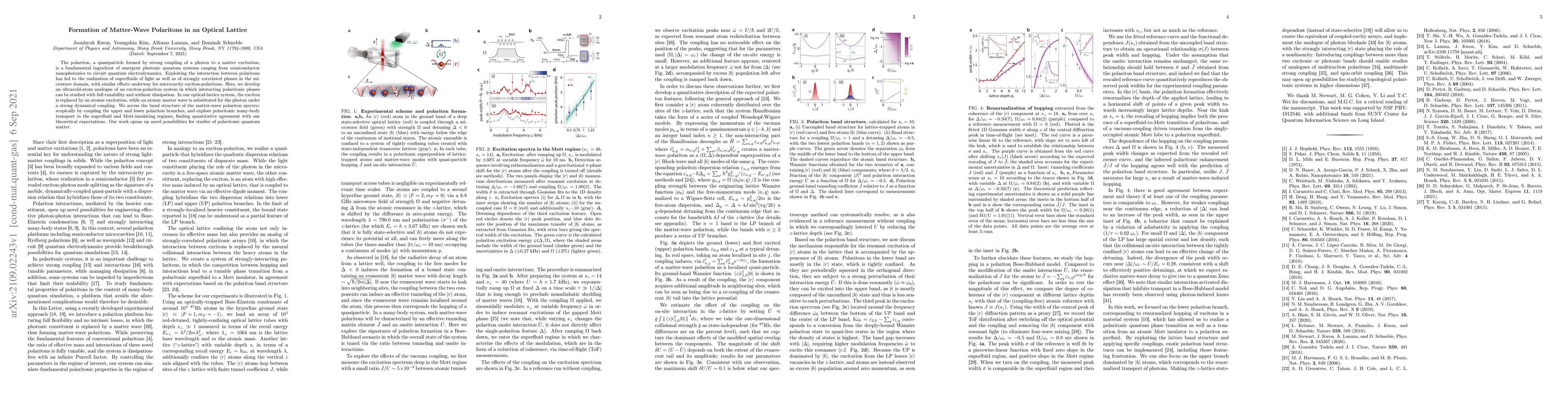 Thumbnail for Formation of Matter-Wave Polaritons in an Optical Lattice