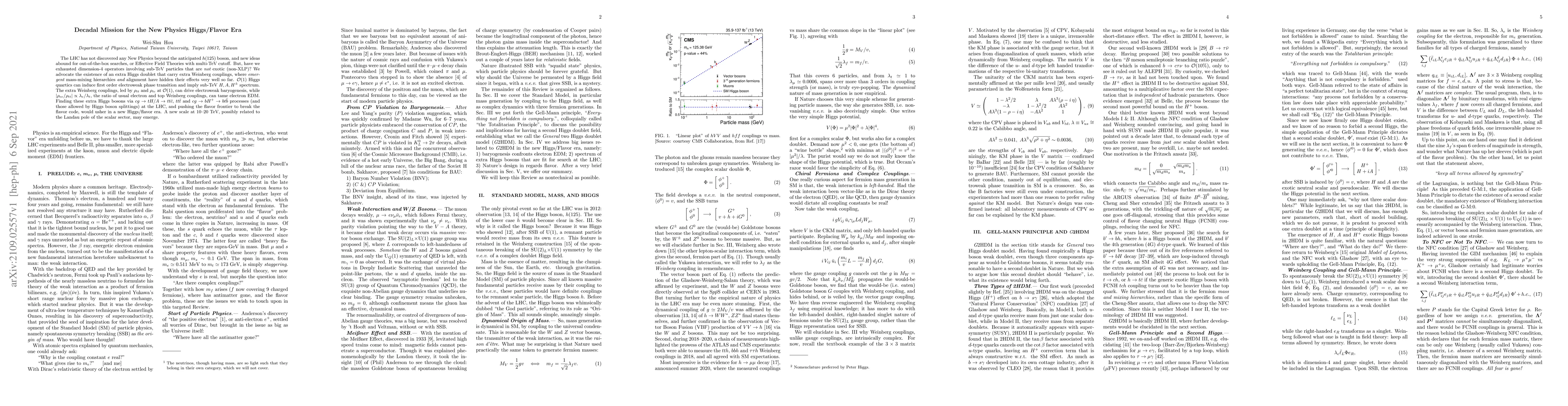 Thumbnail for Decadal Mission for the New Physics Higgs/Flavor Era