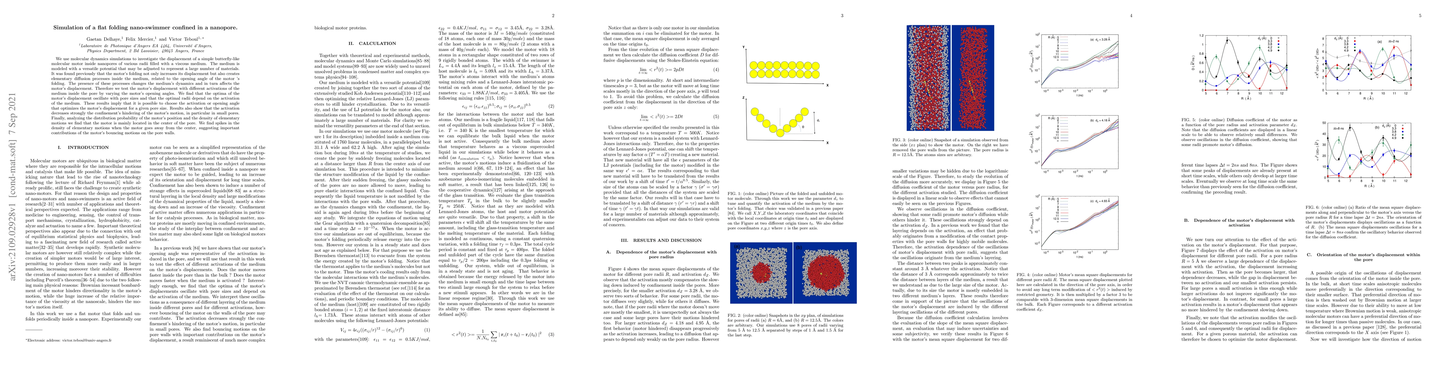 Thumbnail for Simulation of a flat folding nano-swimmer confined in a nanopore