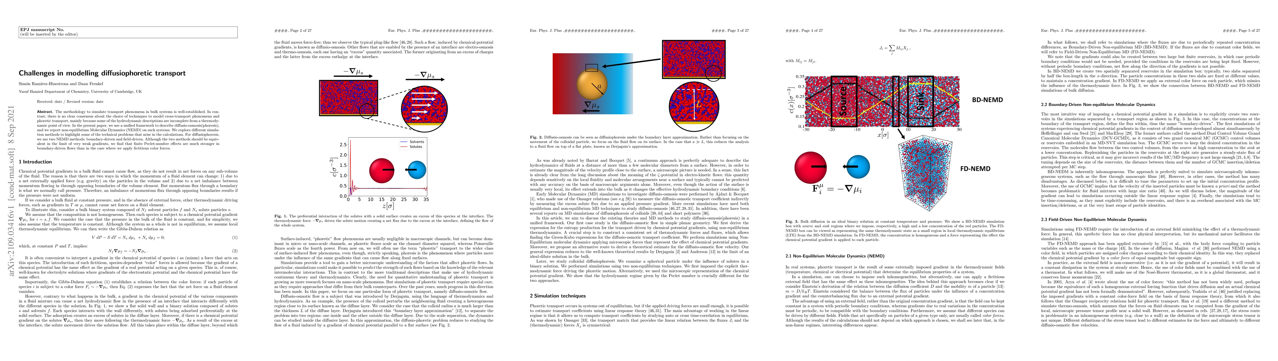 Thumbnail for Challenges in modelling diffusiophoretic transport