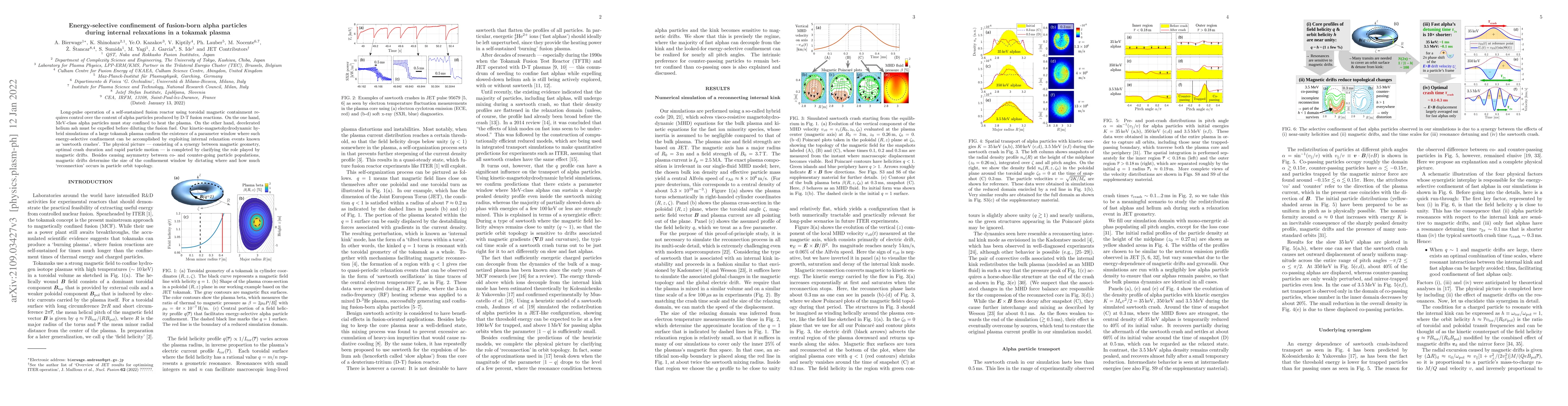 Thumbnail for Energy-selective confinement of fusion-born alpha particles during
  internal relaxations in a tokamak plasma