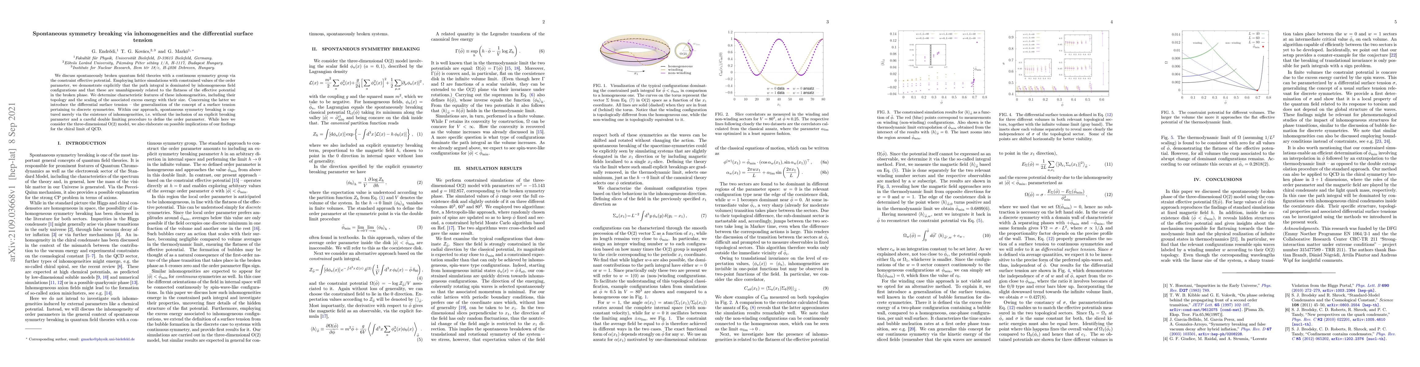 Thumbnail for Spontaneous symmetry breaking via inhomogeneities and the differential
  surface tension