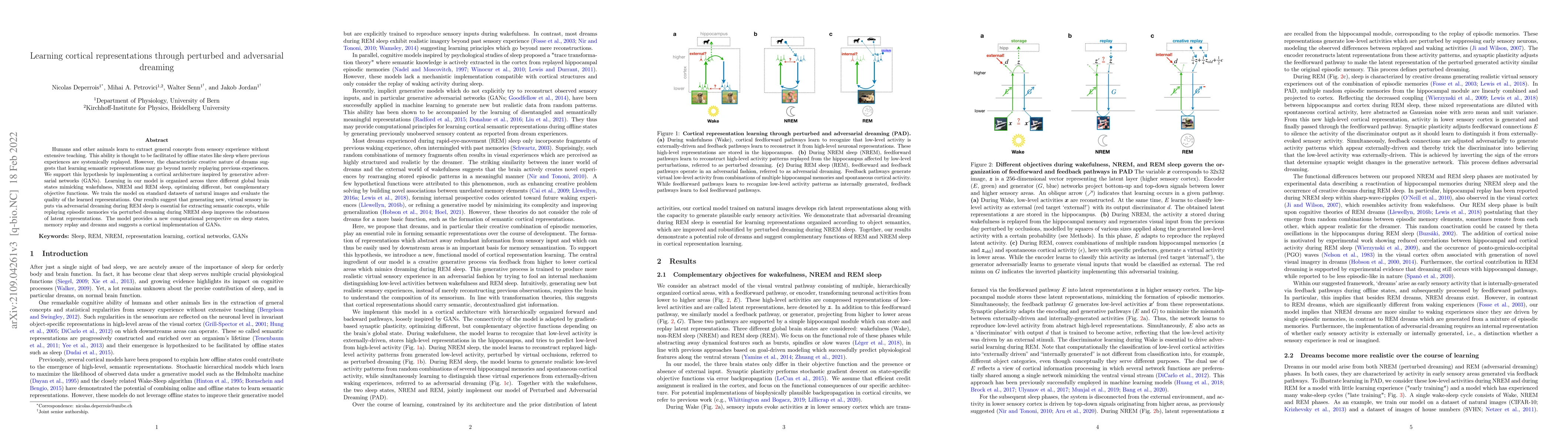 Thumbnail for Learning cortical representations through perturbed and adversarial
  dreaming