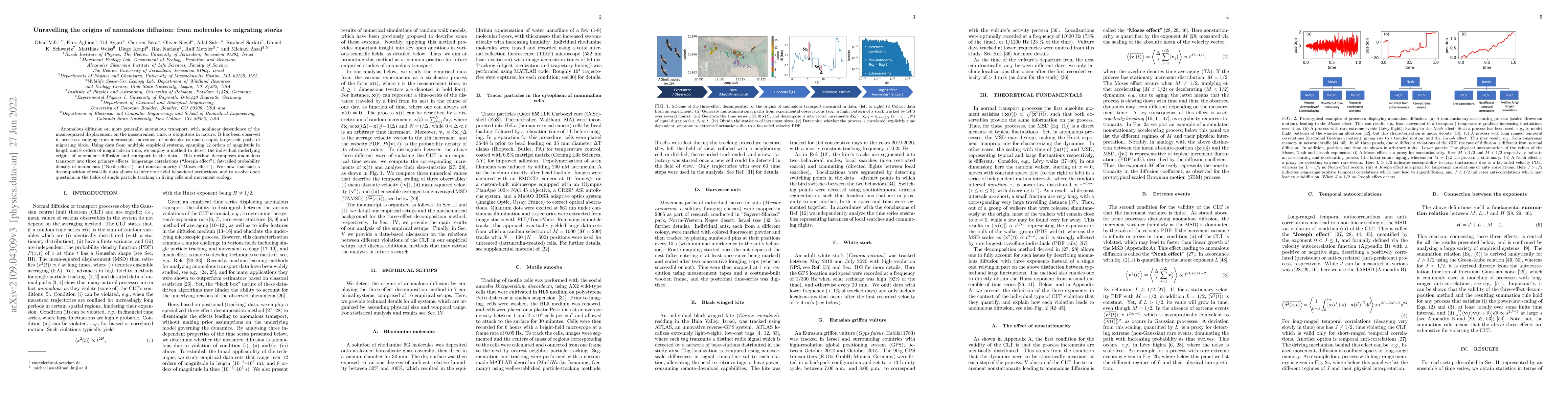 Thumbnail for Unravelling the origins of anomalous diffusion: from molecules to
  migrating storks