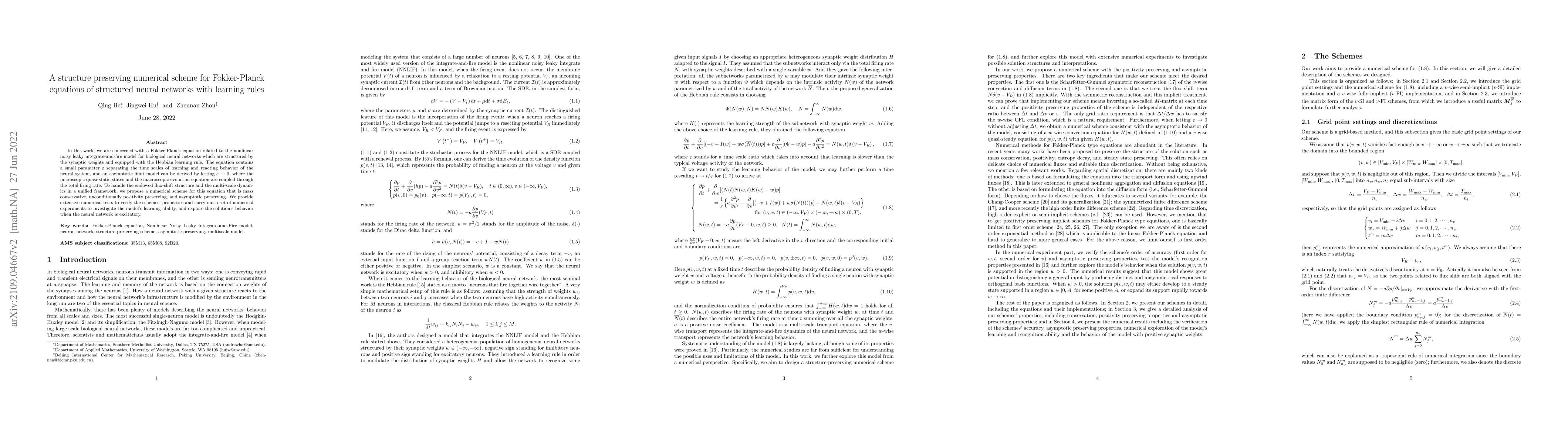 Thumbnail for A structure preserving numerical scheme for Fokker-Planck equations of
  structured neural networks with learning rules