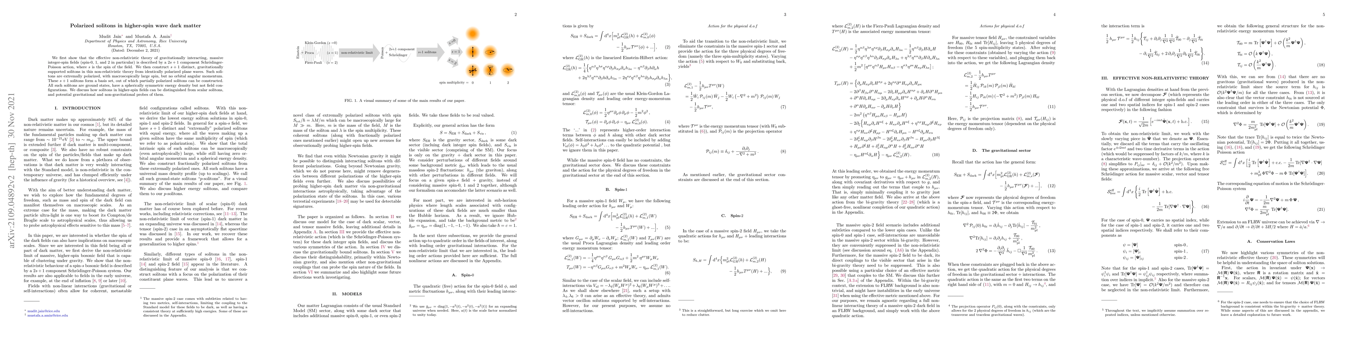 Thumbnail for Polarized solitons in higher-spin wave dark matter