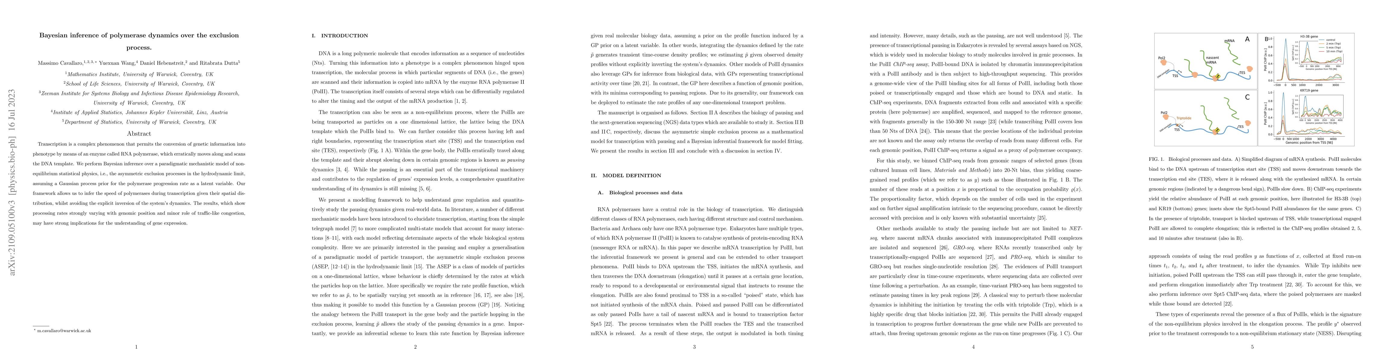 Thumbnail for Bayesian inference of polymerase dynamics over the exclusion process