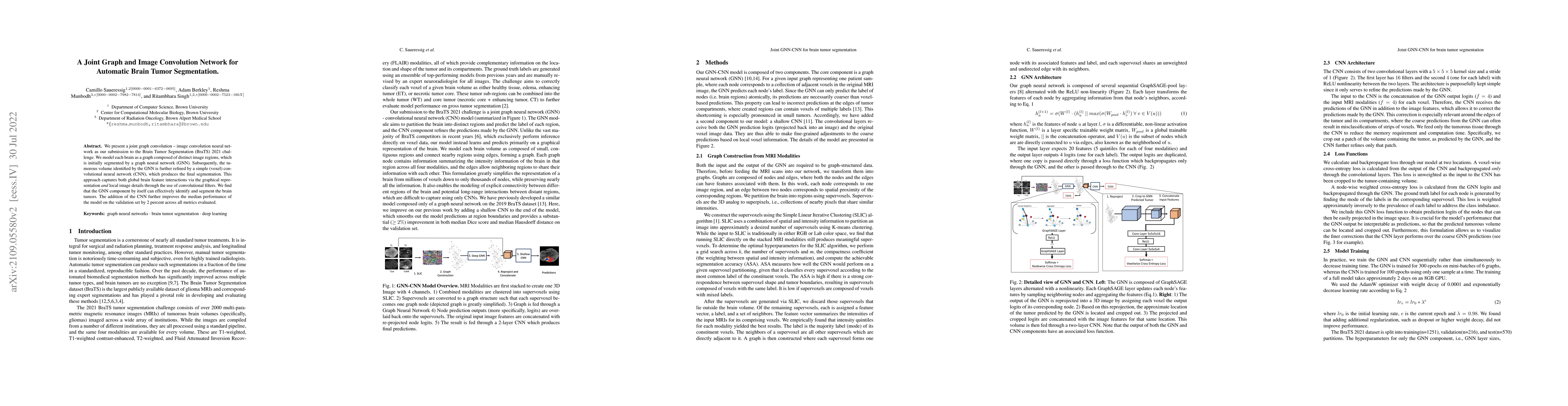 Thumbnail for A Joint Graph and Image Convolution Network for Automatic Brain Tumor
  Segmentation