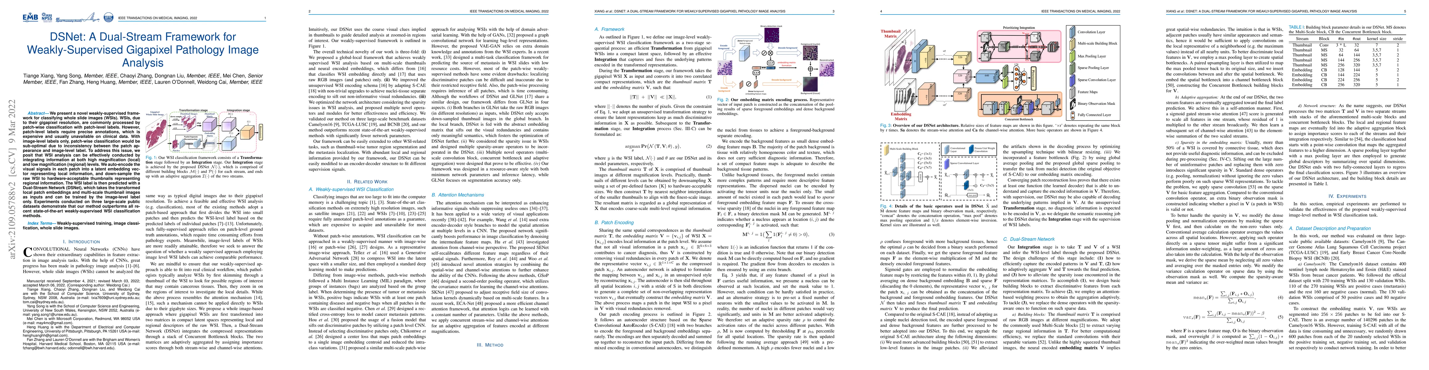 Thumbnail for DSNet: A Dual-Stream Framework for Weakly-Supervised Gigapixel Pathology
  Image Analysis