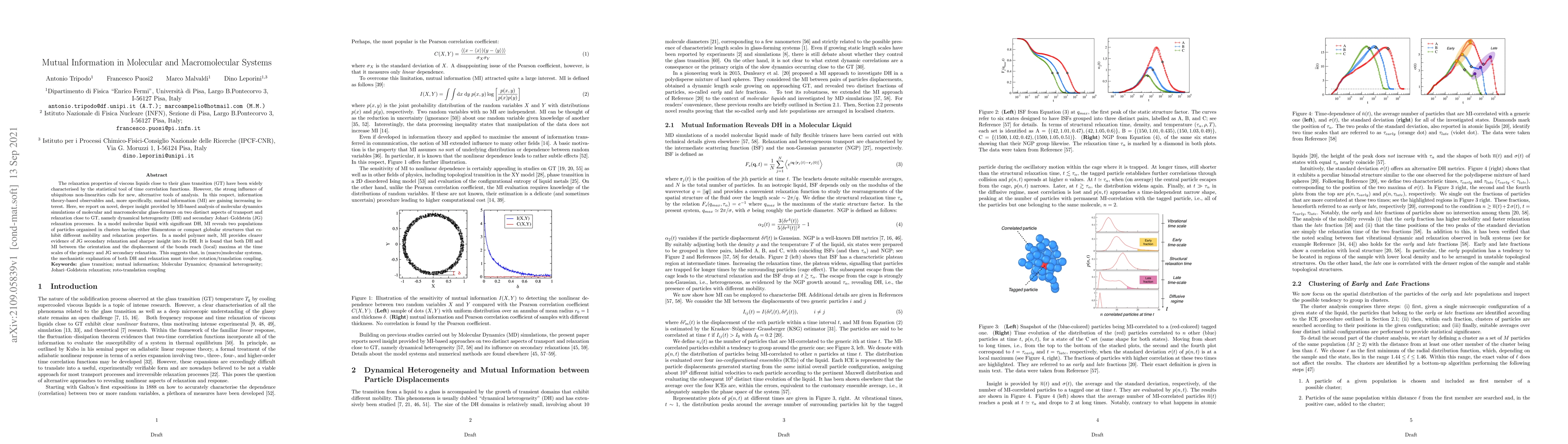 Thumbnail for Mutual Information in Molecular and Macromolecular Systems