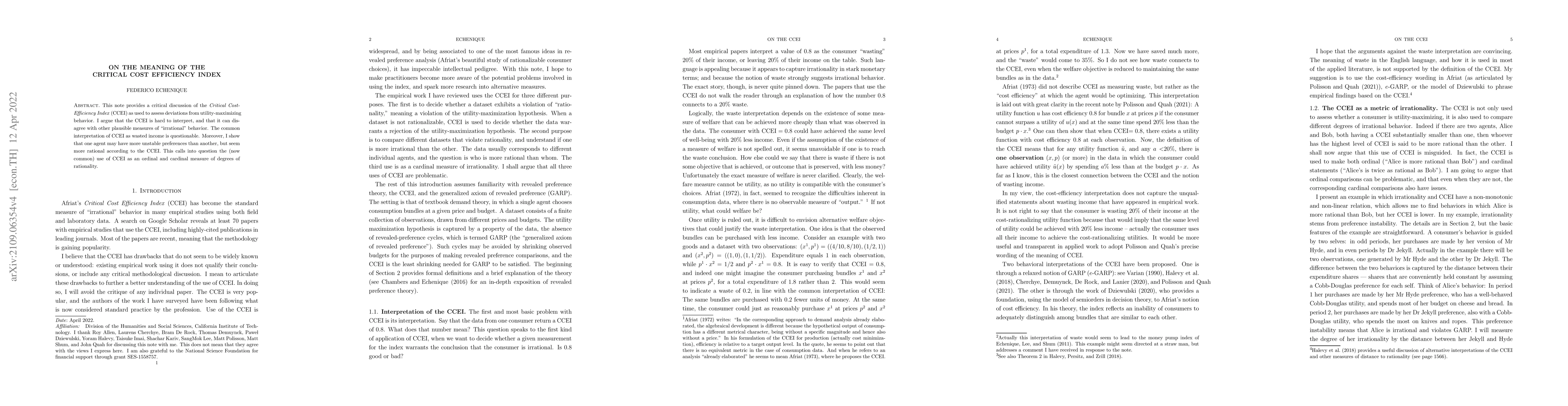 Thumbnail for On the meaning of the Critical Cost Efficiency Index