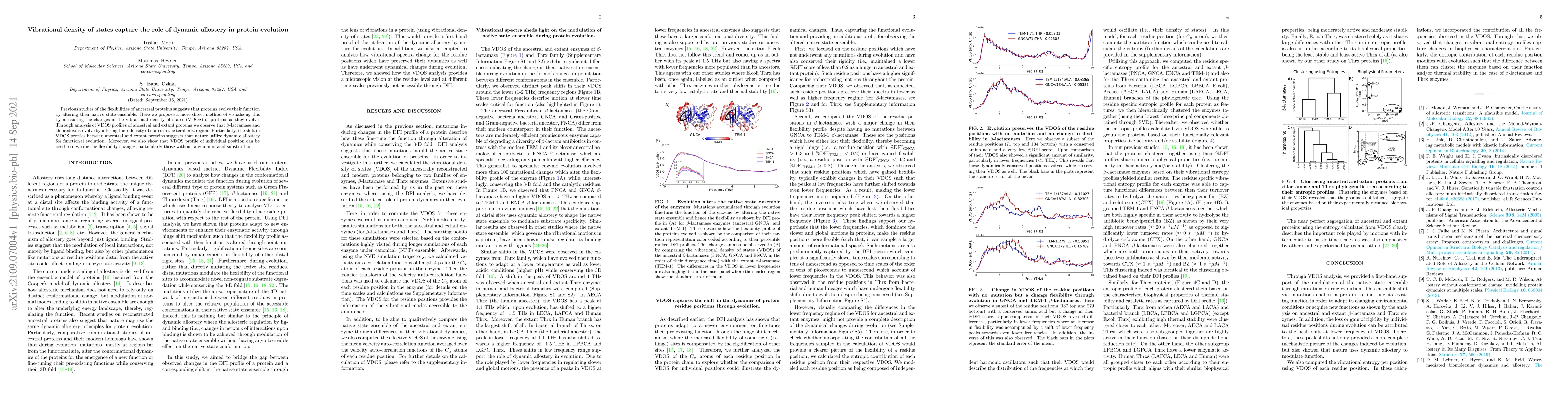 Thumbnail for Vibrational density of states capture the role of dynamic allostery in
  protein evolution