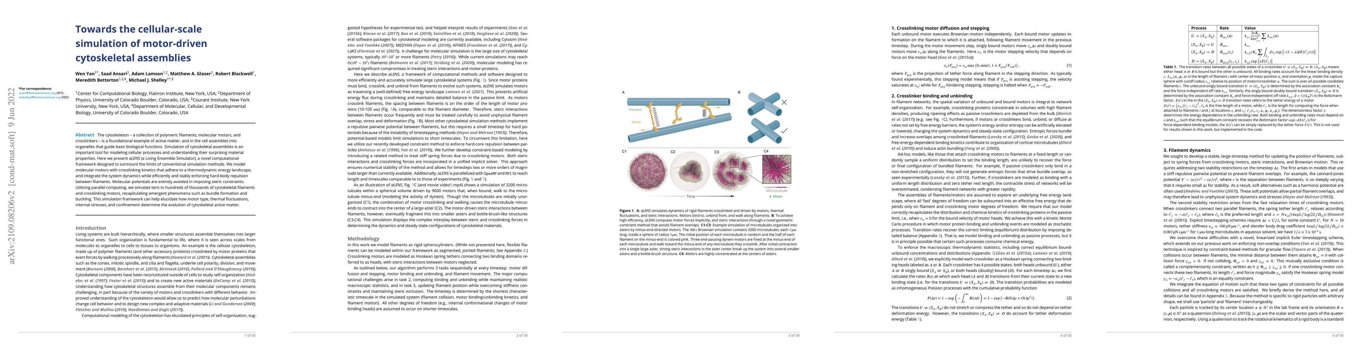 Thumbnail for Towards the cellular-scale simulation of motor-driven cytoskeletal
  assemblies