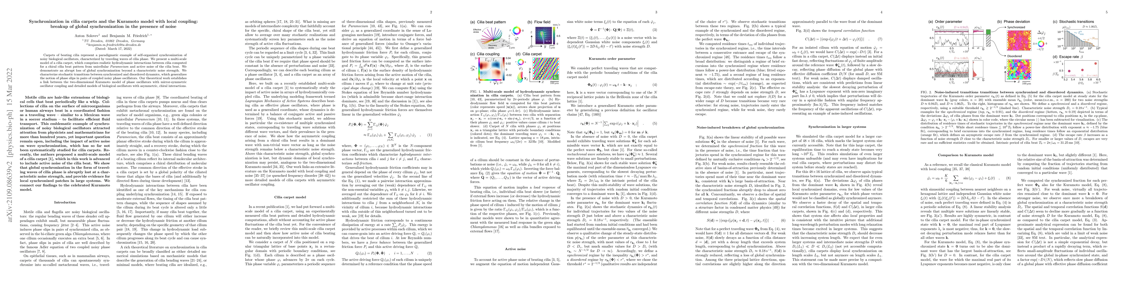 Thumbnail for Synchronization in cilia carpets and the Kuramoto model with local
  coupling: breakup of global synchronization in the presence of noise