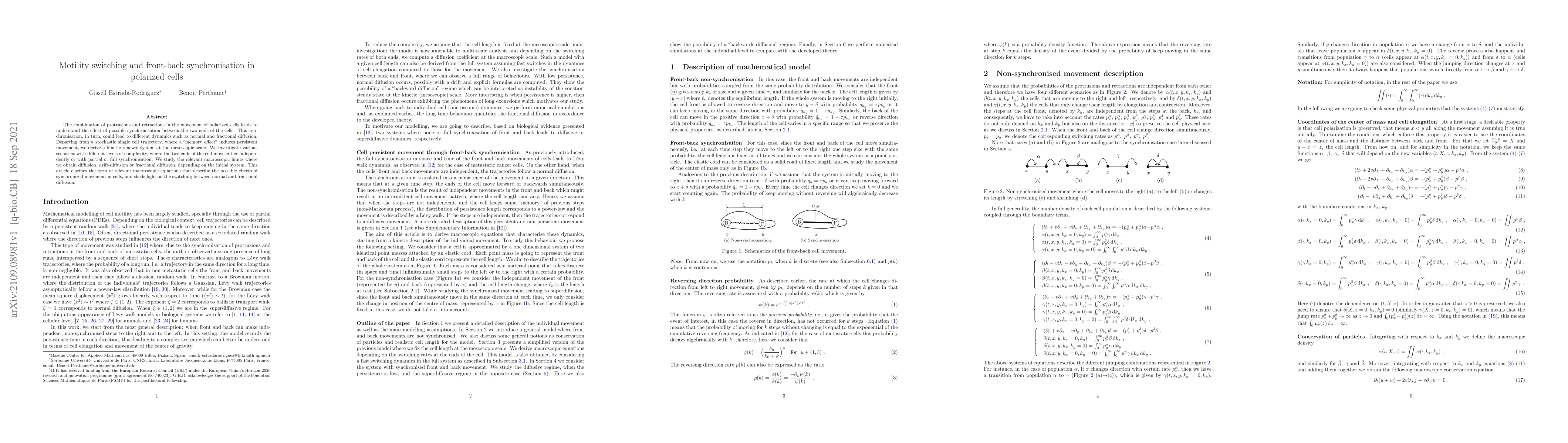Thumbnail for Motility switching and front-back synchronisation in polarized cells
