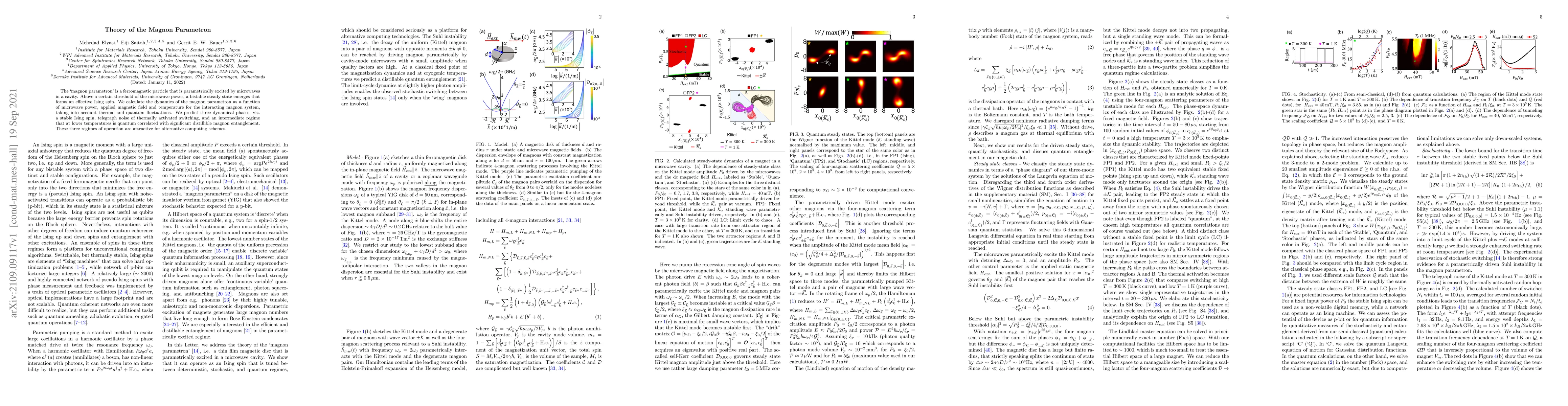 Thumbnail for Theory of the Magnon Parametron