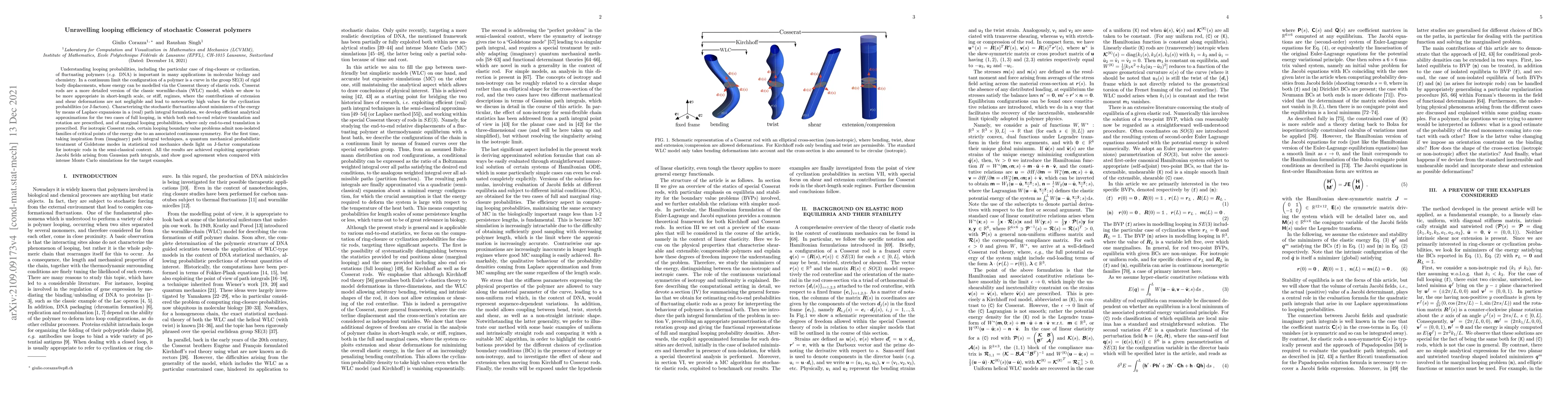 Thumbnail for Unravelling looping efficiency of stochastic Cosserat polymers